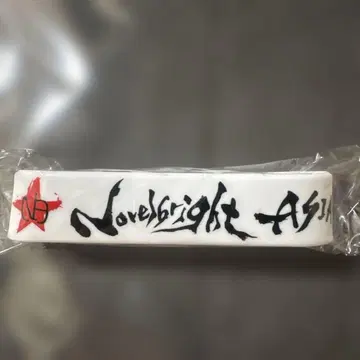 Novelbright 러버 밴드 아시아 투어