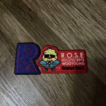 WOOYOUNG SHOWCASE 2015 ROSE 다리미 패치