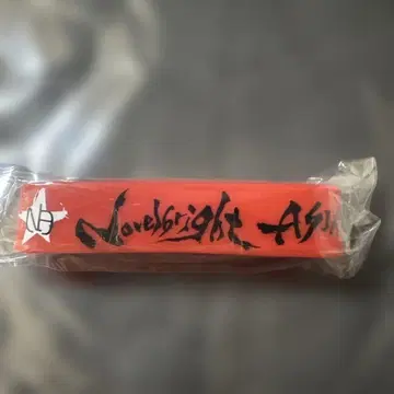 Novelbright 러버 밴드 아시아 투어