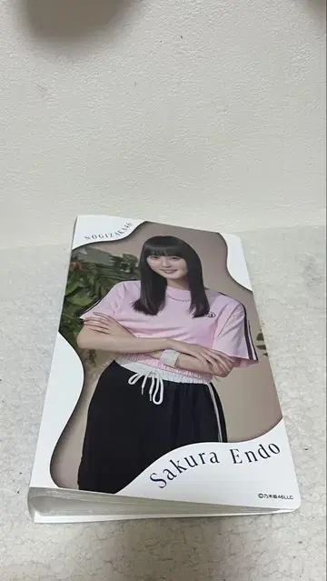 엔도 사쿠라 브로마이드 파일