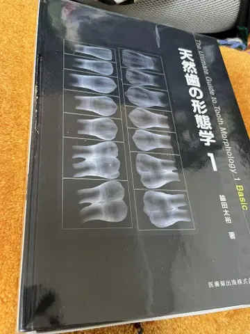 천연 치아의 형태학 1 [재단 완료]