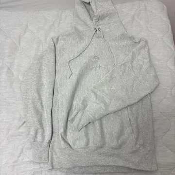 사와얀 후드티 (사와)