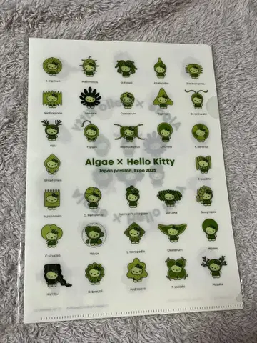 [ 미개봉 ] 간사이 만박 일본관 해조 헬로키티 클리어 파일 2장 세트