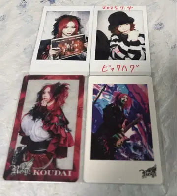 Royz 공대 님 폴라로이드