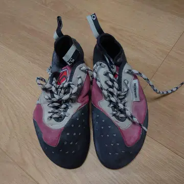 파이브텐 드래곤 레이스 US8