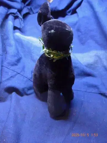 블랙 토끼 봉제 인형