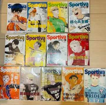 하이큐 소설판 특장판 전권