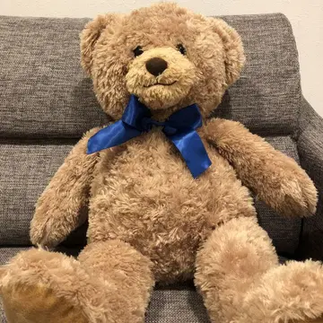 곰 봉제 인형