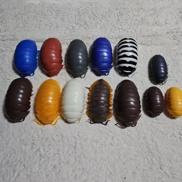 생물대도감 공벌레 가챠가챠