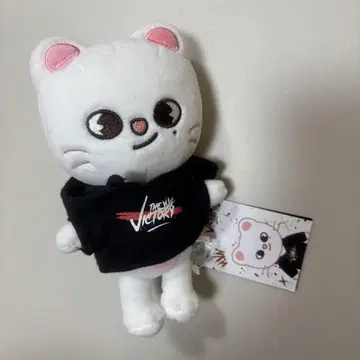 SKZOO MINI PLUSH 지니레트 현진