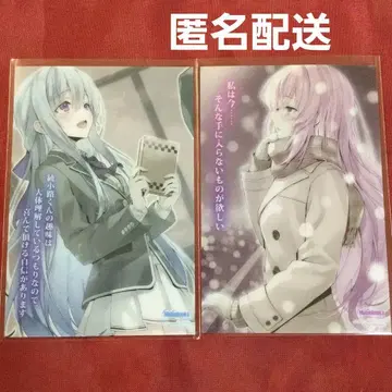 멜론북스 노벨 축제 2025 summer 사시코레 요실 2세트