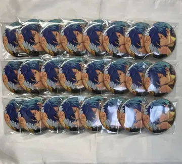 앙스타 준 이베코레 2021 casual 캔뱃지 24개