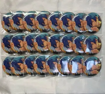 앙스타 준 이베코레 2021 casual 캔뱃지 24개