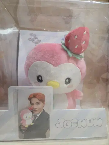 JOCHUM 뽀뽀 봉제 인형