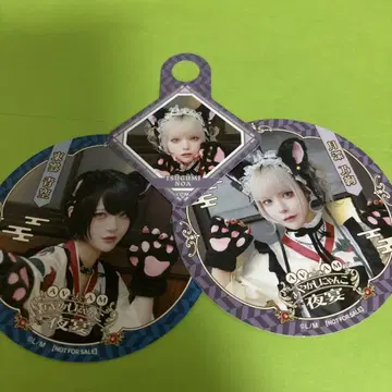 AVAM 아베아무 스이파라 코스터 시노노메 아오조라 츠키미노 아야