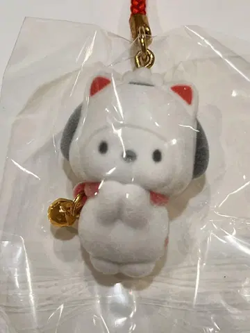 포차코 부탁해 끈 스트랩 고양이