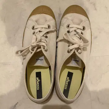 NOVESTA 노베스타 STAR MASTER 베이지