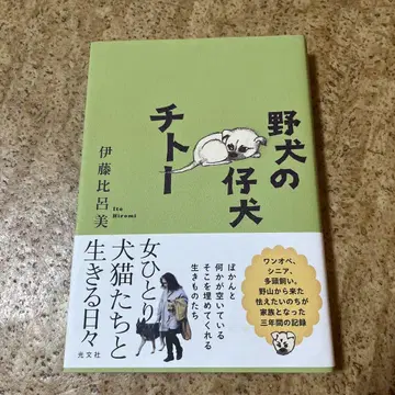 떠돌이개의 강아지 치토