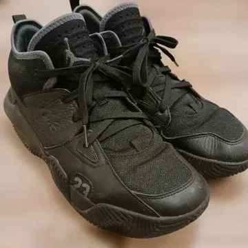 Jordan DQ401-002 스니커즈 US10