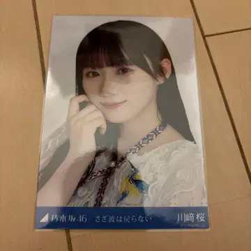카와사키 사쿠라 생사진 요리 잔물결은 돌아오지 않아