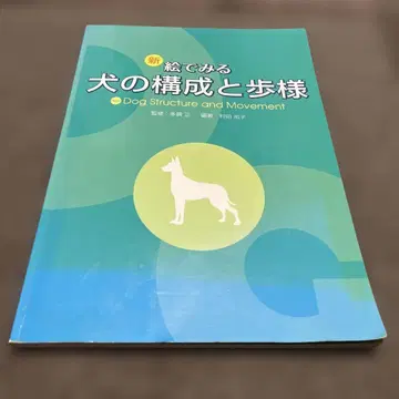 새로운 그림으로 보는 개의 구성과 보행