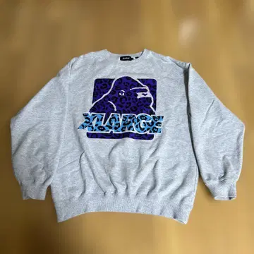 XLARGE 그레이 M 트레이닝복 맨투맨