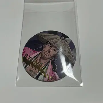 BLEACH PLAZA 쿄라쿠 슌스이 캔뱃지
