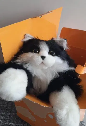 새상품 박스 포함 CHONGKER 고양이 하치와레 백