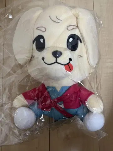 이와타 타카노리 록키 BIG 봉제 인형 새상품