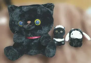 검은 고양이 봉제 인형과 작은 고양이 2마리