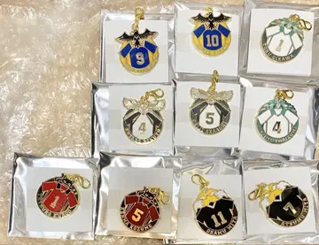 하이큐 트레이딩 유니폼 메탈 참