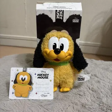 디즈니 미키마우스 패밀리 플루토