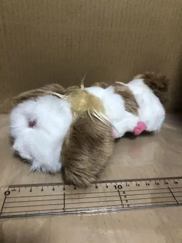 [ 하울의 움직이는 성 ] 힌 봉제 인형