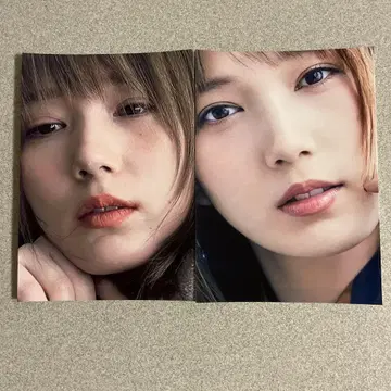 혼다 츠바사 L판 사진 16장 세트