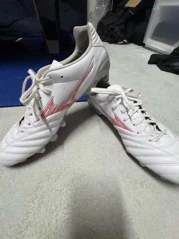MIZUNO MONARCIDA 쇠징