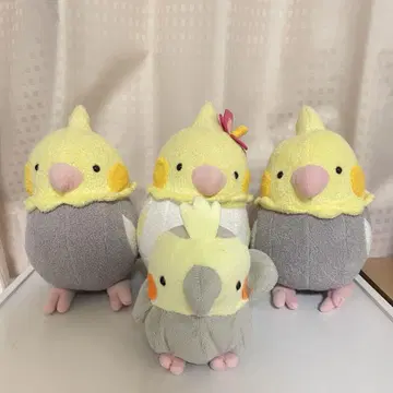 코토리 카페 (오카메 앵무새) 봉제 인형 4세트