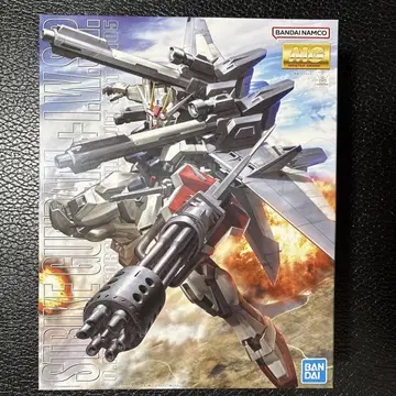 MG 1/100 스트라이크 건담 + I.W.S.P.