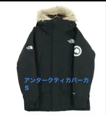 THE NORTH FACE 안타르티카 후드티 S 다운