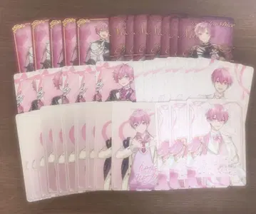 이레이스 나이코 칩카