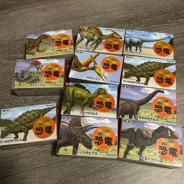 공룡 모델 컬렉션 세트