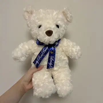AMUFUN 러블리 로즈 베어 스타 샤이니