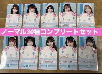 이코라부 시나몬 콜라보 브로마이드 노멀 30종 컴플리트 세트