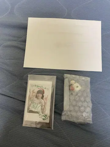 토요사키 아키 친필 사인 폴라로이드 당선품 스피어