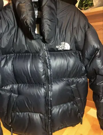 THE NORTH FACE 눕시 자켓