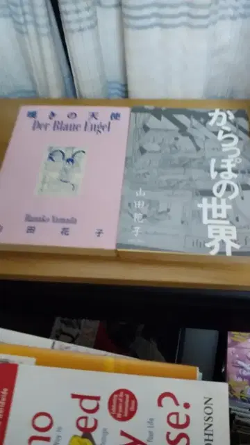 기간 한정 가격 인하! 초레어! 선착순! 야마다 하나코 씨 2권 세트