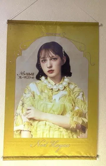 FRUITSZIPPER 하야세 노엘 태피스트리 팝업 풀버스
