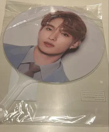 SEVENTEEN INCOMPLETE 도겸 부채