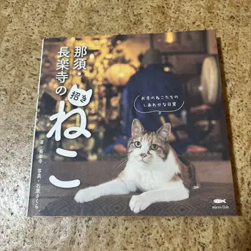 나스 쵸라쿠지 절의 복 고양이
