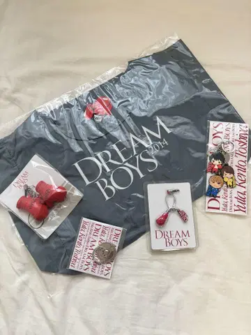 DREAM BOYS 2014 키링 세트
