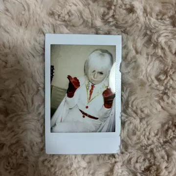 R 지정 마모 폴라로이드